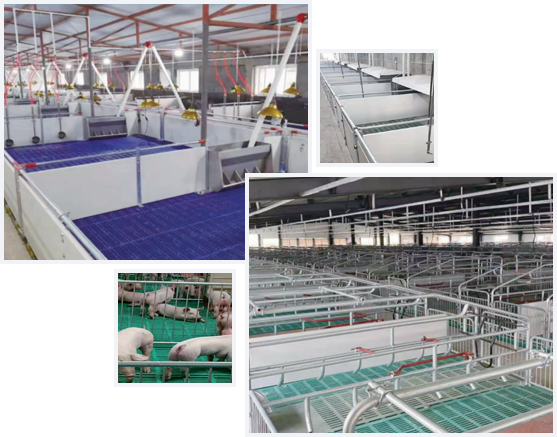 歐式產(chǎn)床_歐式保育欄_不銹鋼料槽_養(yǎng)羊設備_養(yǎng)牛設備_河南優(yōu)牧養(yǎng)殖設備有限公司